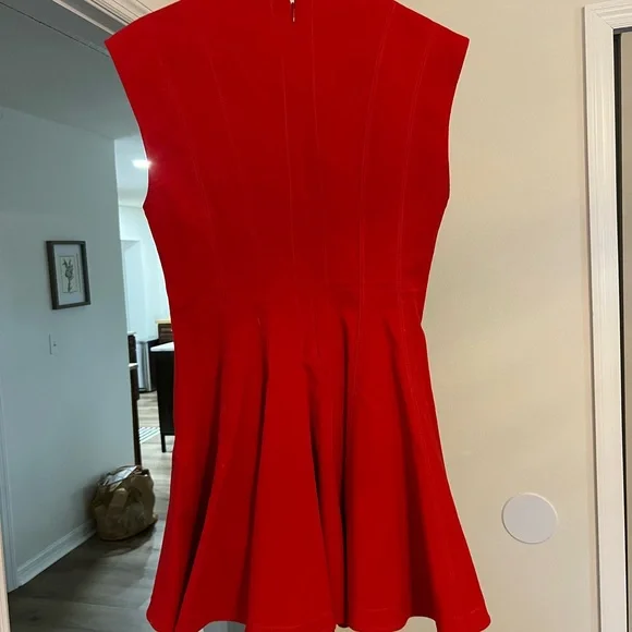 Zara Vibrant Red Mini Dress - Picture 3 of 5